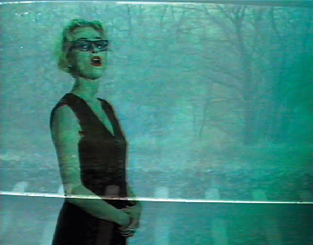 L’immagine di sè. Video arte e performance in Svizzera 1990-2010